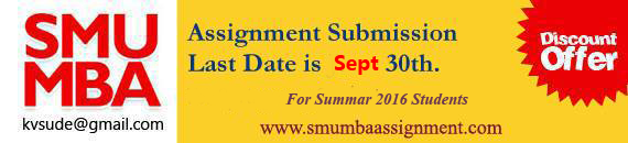 Summer 2016 MBA Assignments